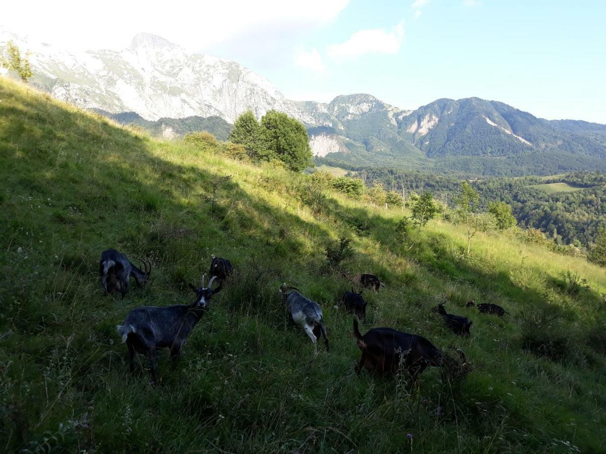 Apartmaji Berginc Kobarid Buitenkant foto